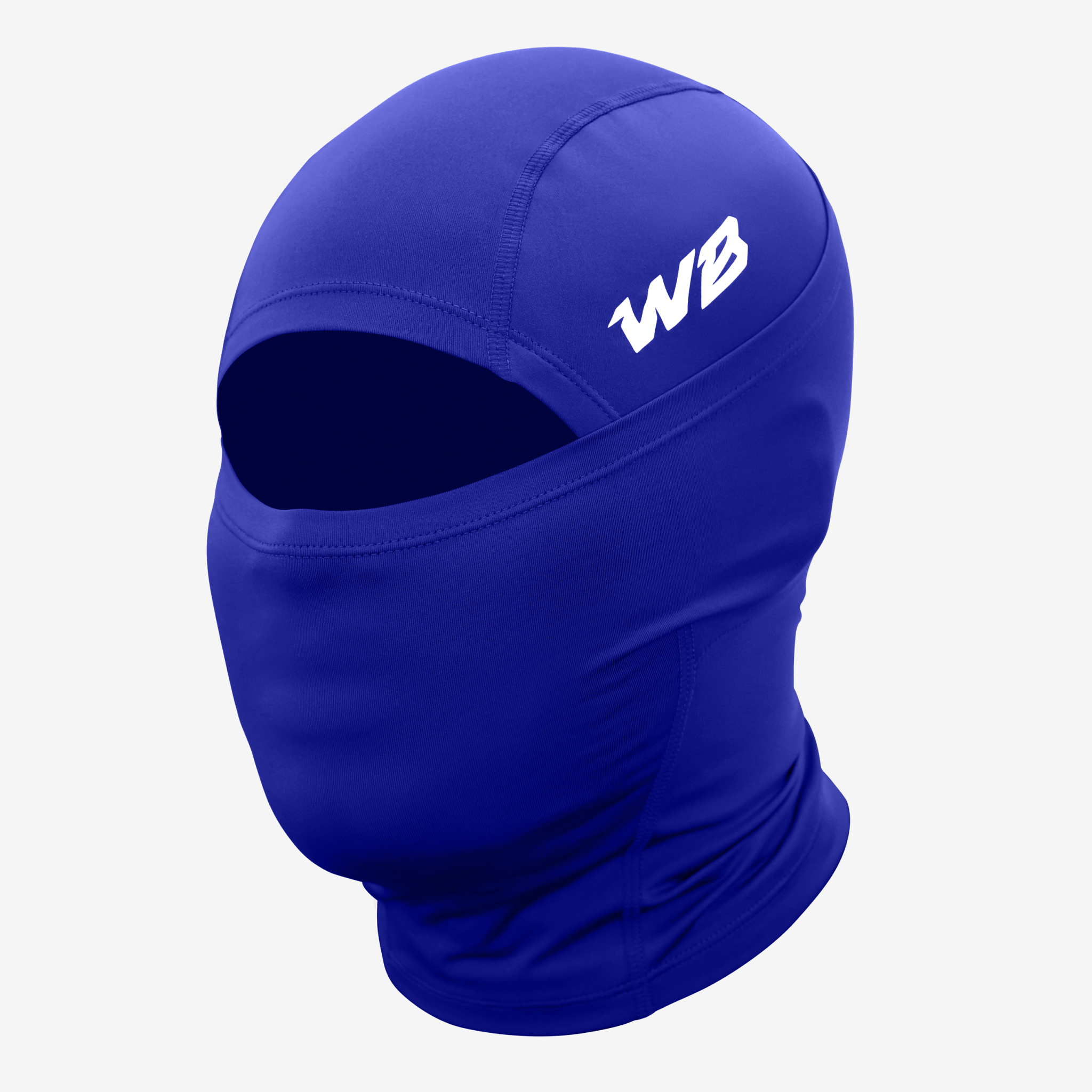 Blue Ski Mask 