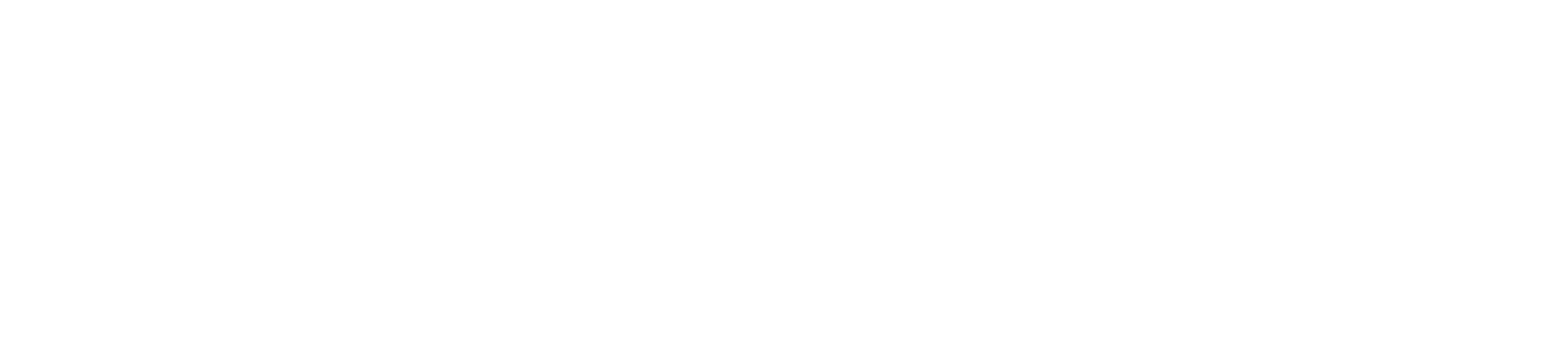 We Ball Sports Logo