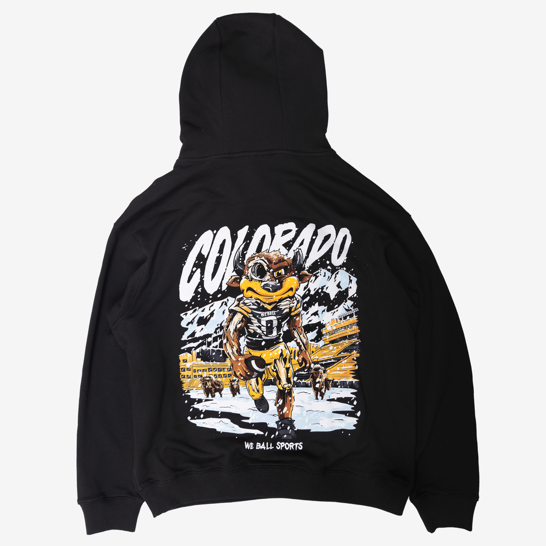 HOODIES – We Ball Sports